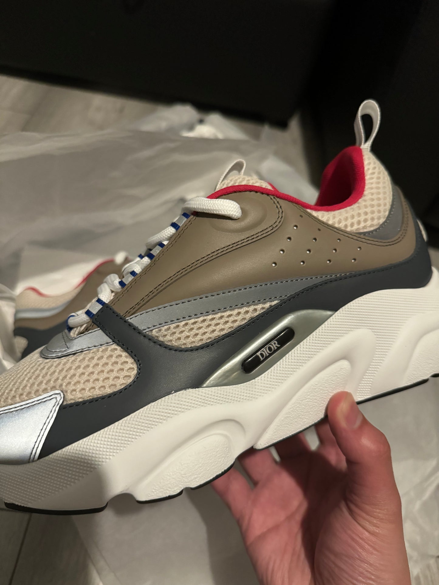 Dior B22 Beige Deep Grey