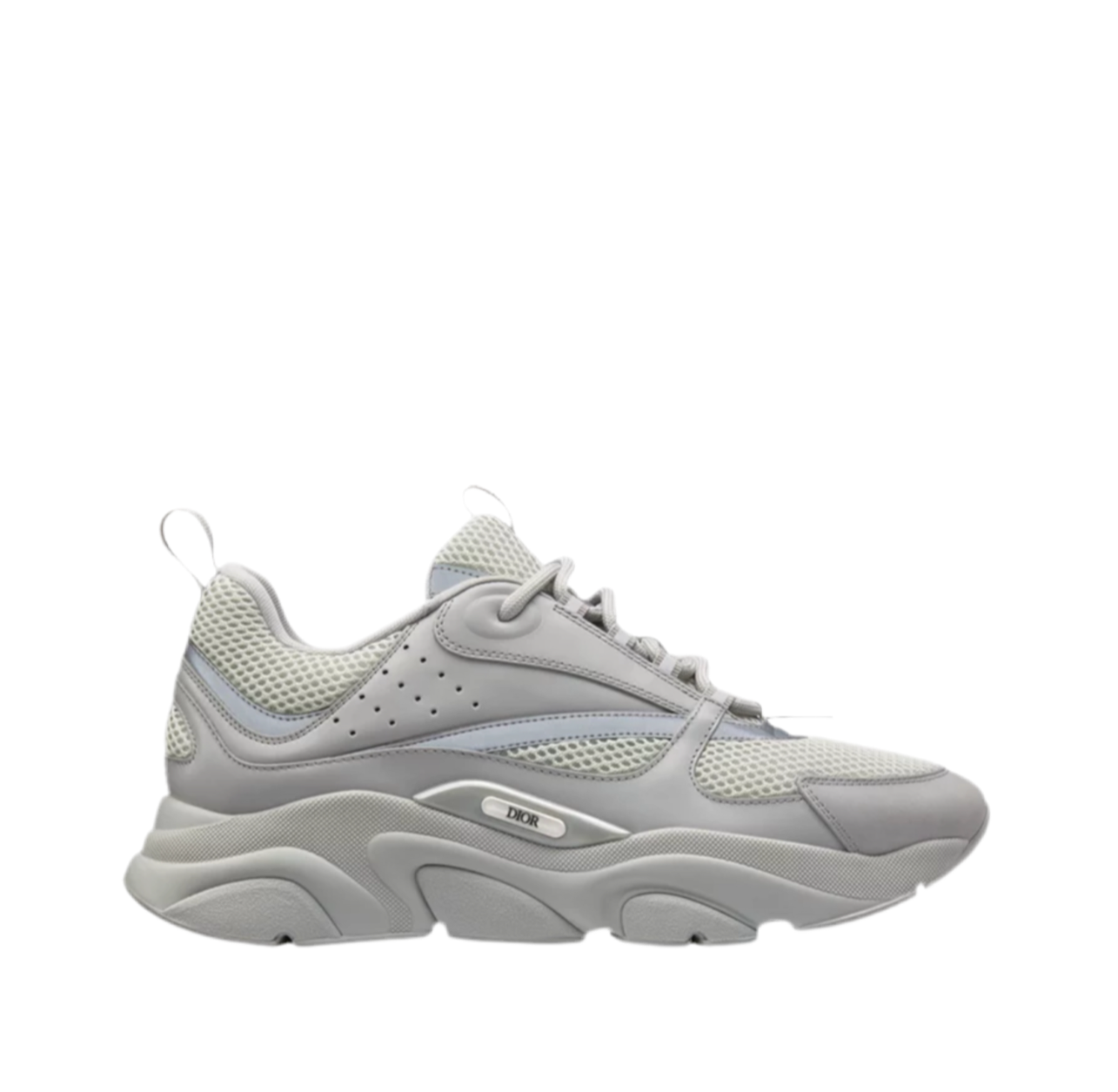 Dior B22 Grey